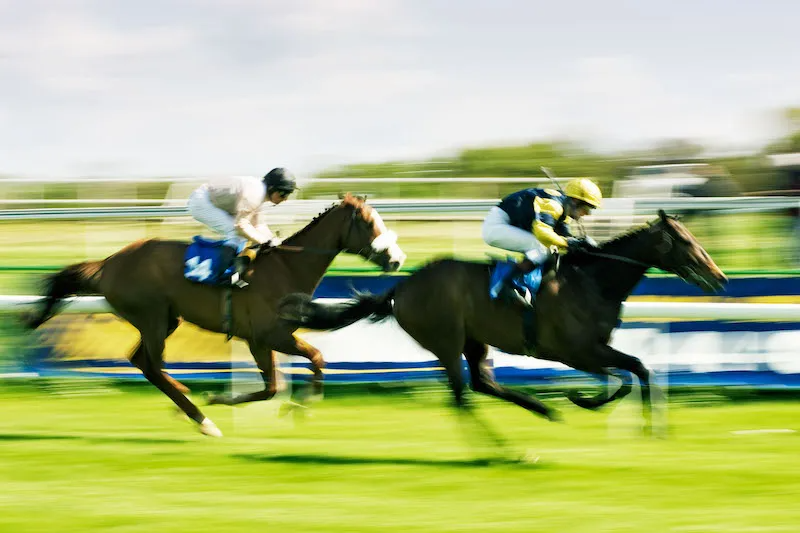 corridas de cavalos