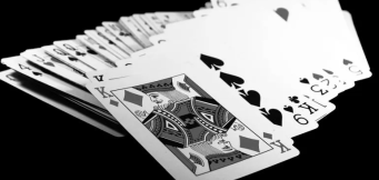 Blackjack Ball 2024: Tudo o Que Aconteceu - Parte 2